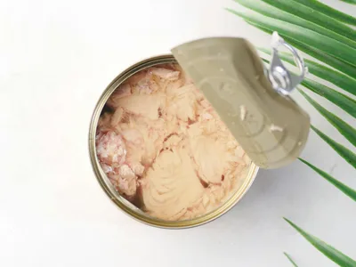 Bolinhos de atum dourados assados em bandeja com salsinha fresca