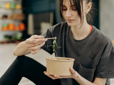 Bolinhos fitness de frango e batata doce dourados em frigideira antiaderente